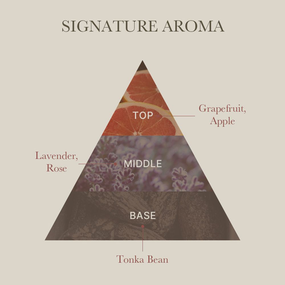 Grafico a forma di piramide con le note di profumo. In alto: pompelmo, mela. Al centro: lavanda, rosa. In basso: fava tonka. Testo: SIGNATURE AROMA.