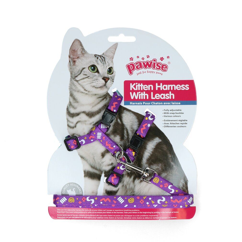 Imbracatura per gattini con guinzaglio, motivo viola. Marchio Pawise. Confezione con gatto. Regolabile, fibbie.