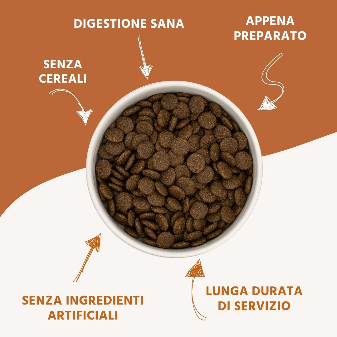 Cibo per cani in ciotola. Testo: Senza cereali, digestione sana, senza ingredienti artificiali, lunga durata, appena preparato.