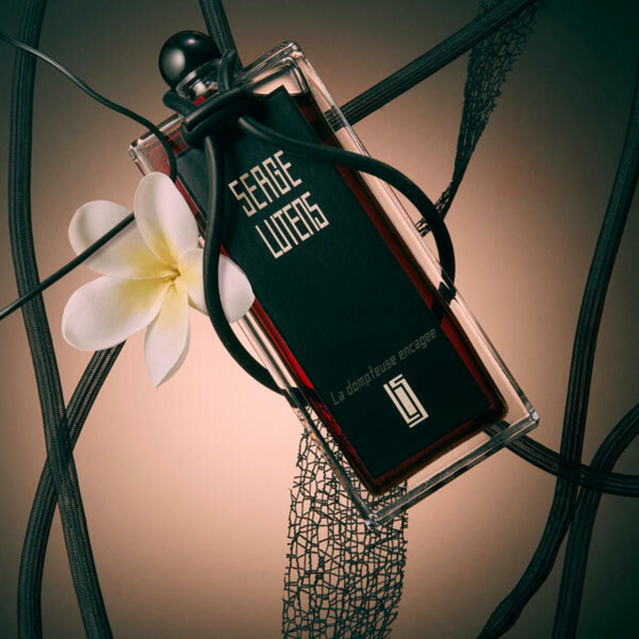 Flacone con etichetta nera, Serge Lutens. Tappo nero. Fiore bianco ed elementi decorativi neri circondano il flacone.