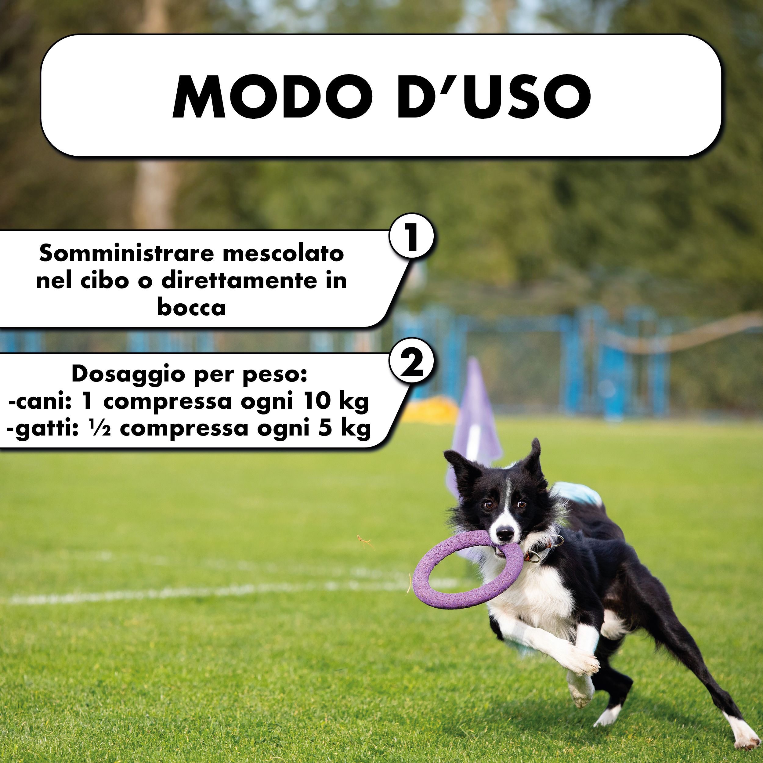 Cane con anello in bocca. Testo: Modo d'uso: nel cibo o direttamente. Dosaggio per peso: 1 compressa ogni 10 kg (cani).