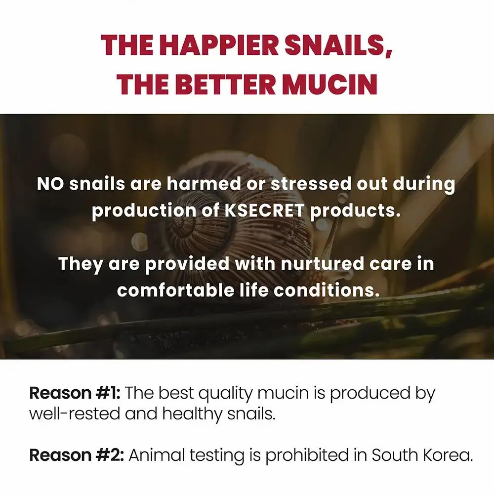 Primo piano di una lumaca. Testo sulla produzione dei prodotti K-SECRET. Testo su lumache sane e test sugli animali.