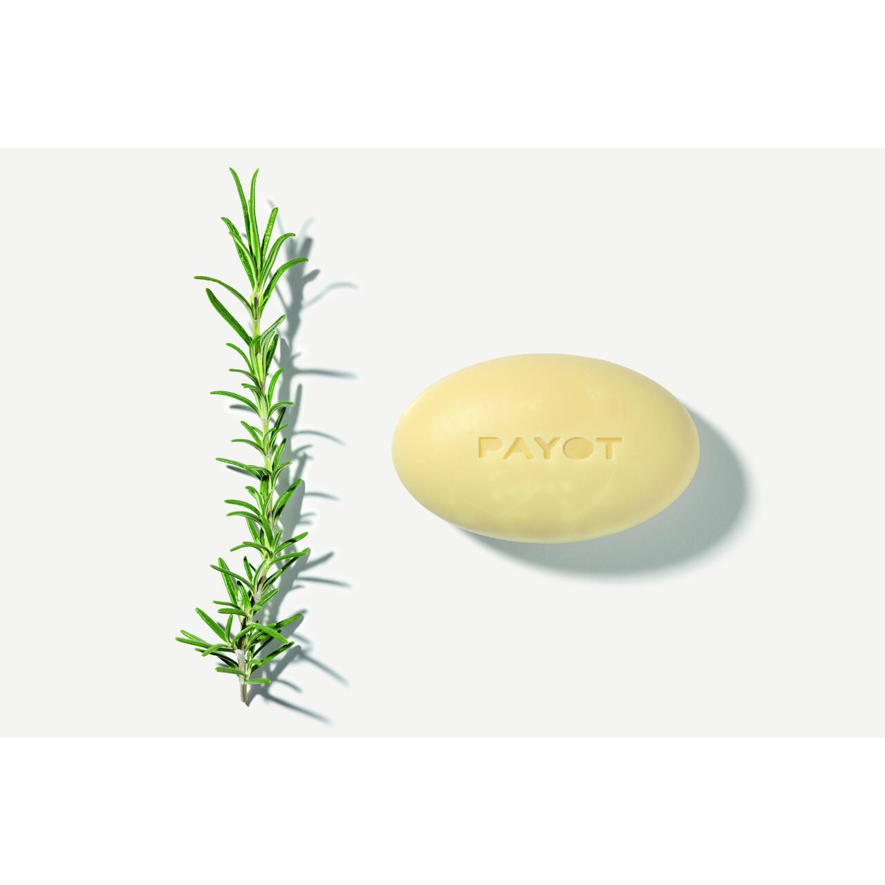 Blocco ovale beige accanto a un rametto di rosmarino.