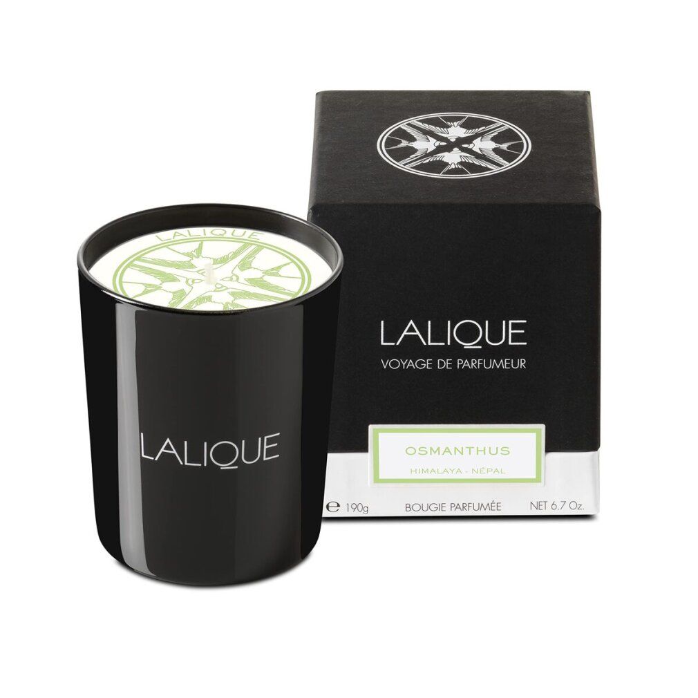 Candela nera e confezione. Sulla confezione c'è scritto "LALIQUE", "Osmanthus Himalaya". La candela ha la scritta "LALIQUE".