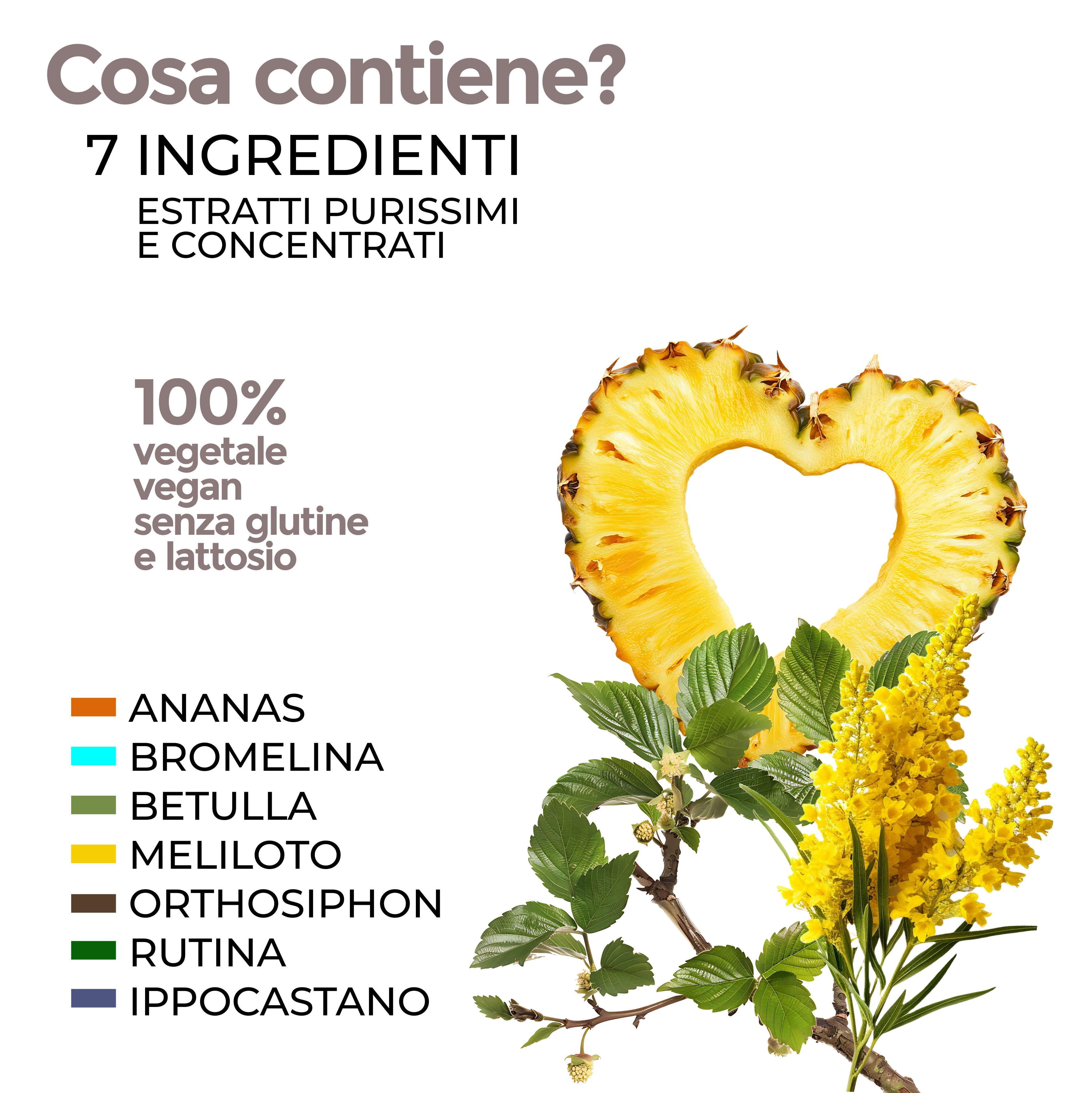 Fetta di ananas a forma di cuore, foglie e fiori. Testo: 7 ingredienti, 100% vegetale, senza glutine e lattosio. Ingredienti evidenziati.