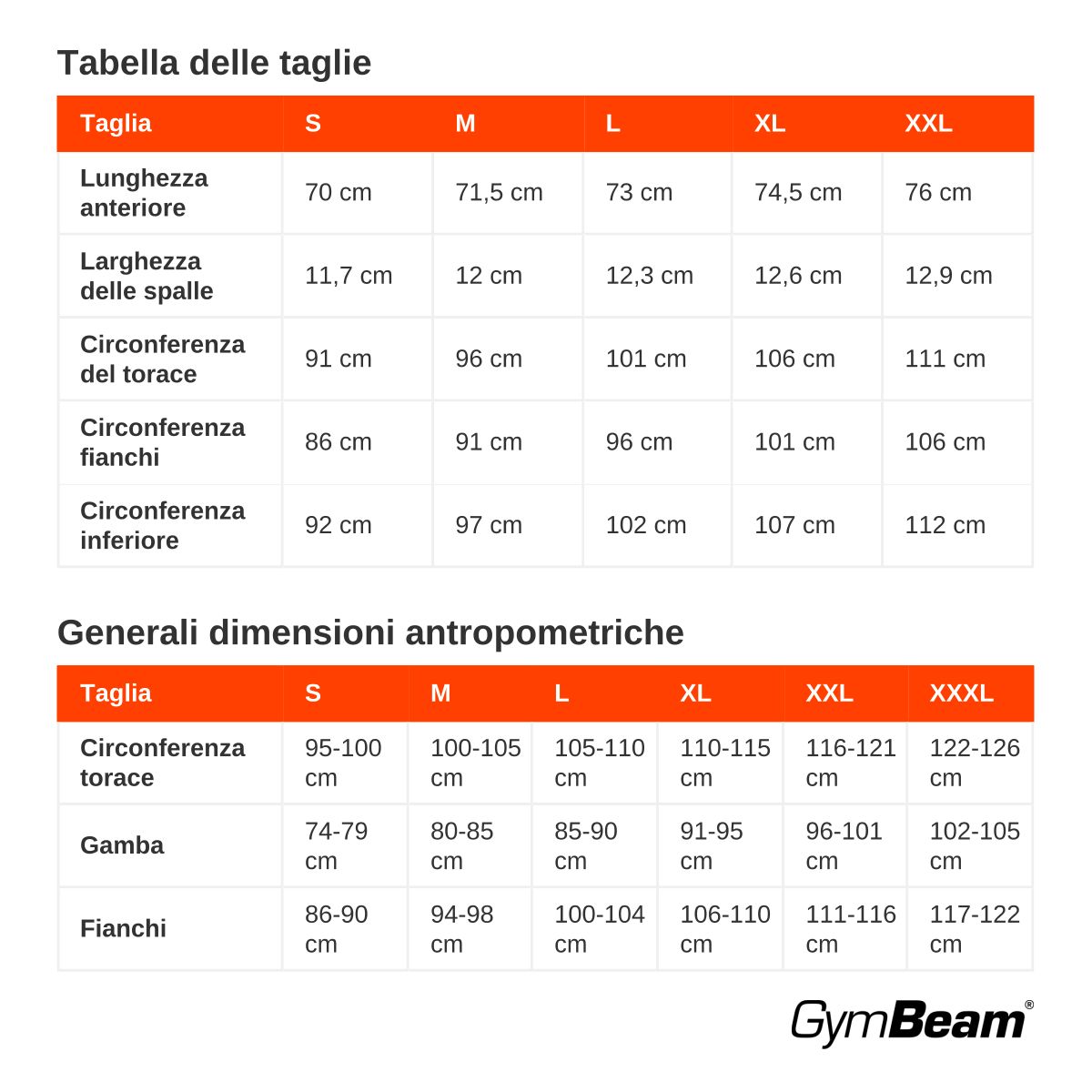 GymBeam Canotta uomo TRN regular grigia in cotone ed elastane