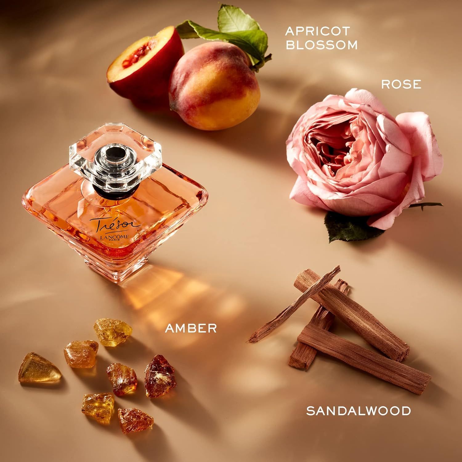 Flacone Trésor E.d.P. Vapo con albicocca, rosa, ambra e legno di sandalo. Scritte: Trésor, Lancôme, Amber, Sandalwood.