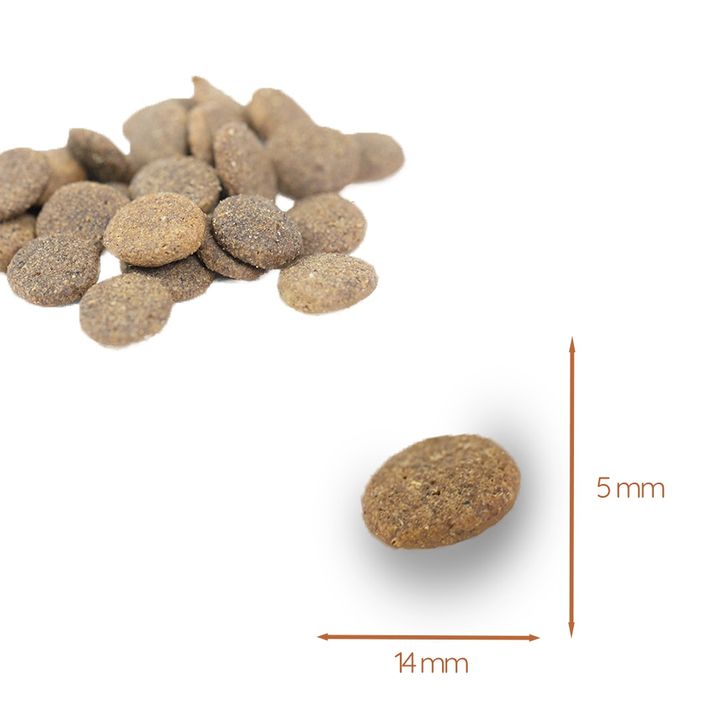 Crocchette per cani. Dimensioni: 14 mm x 5 mm. Singola crocchetta con ombra.