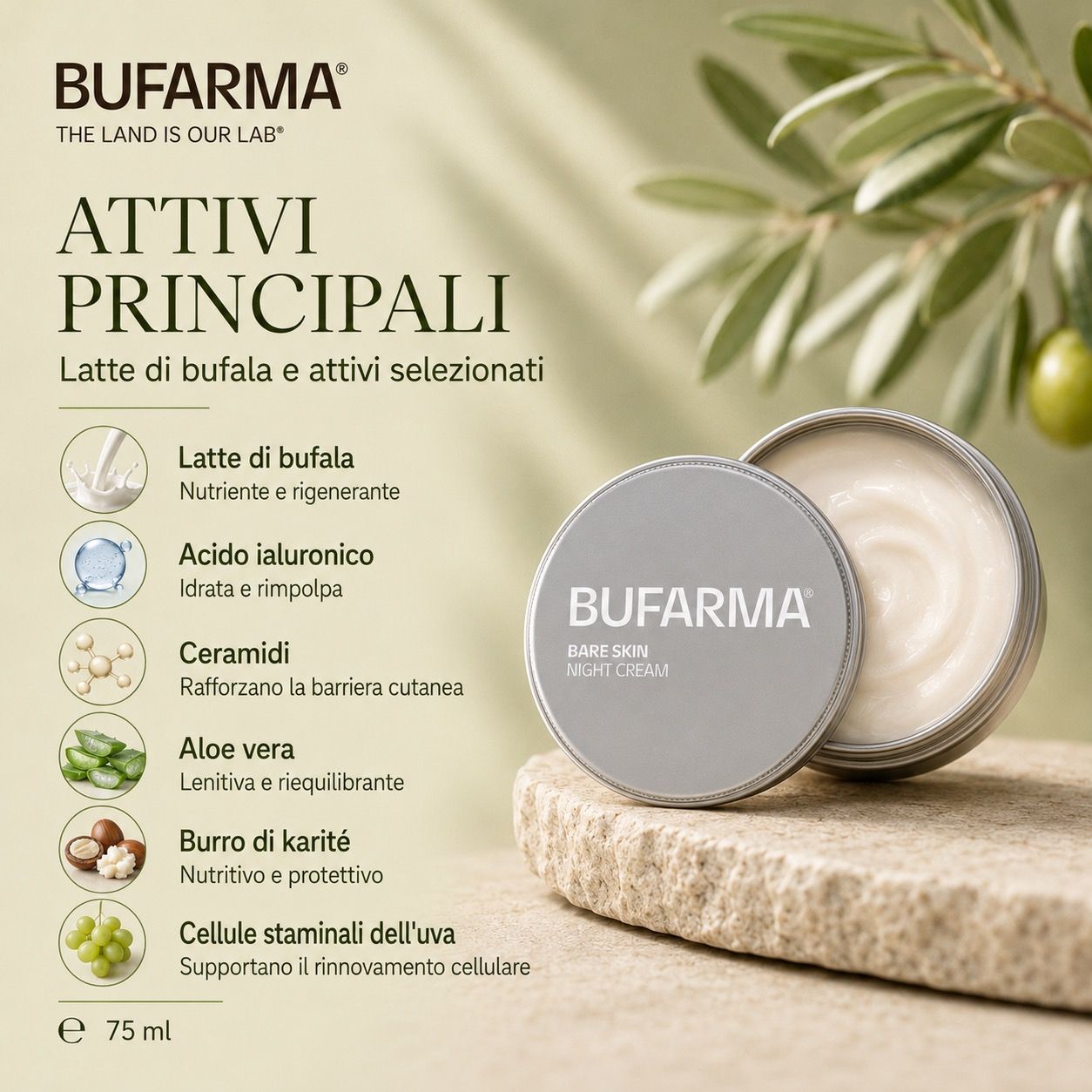 Vasetto aperto BUFARMA 'Bare Skin Night Cream'. Testo: 'ATTIVI PRINCIPALI'. Sfondo: ramo d'ulivo.