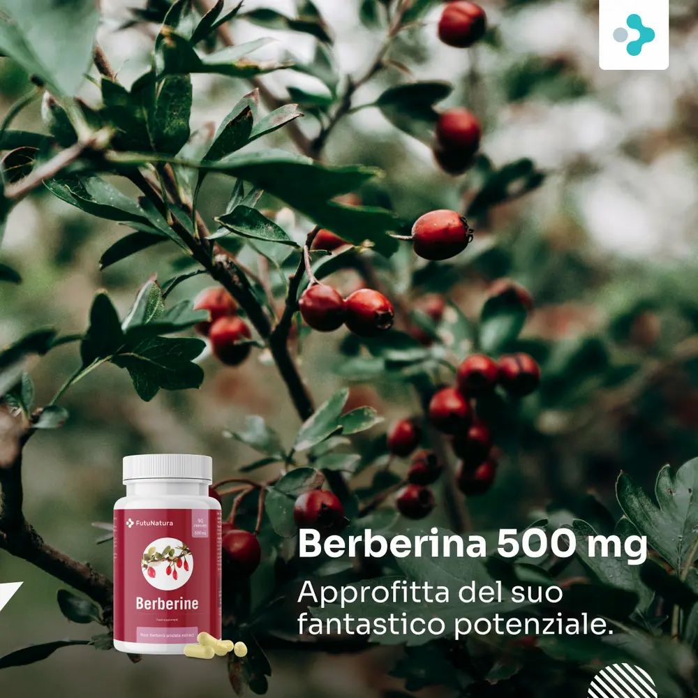 Flacone di capsule di berberina davanti a uno sfondo di rami e bacche rosse. Testo: Berberina 500 mg.