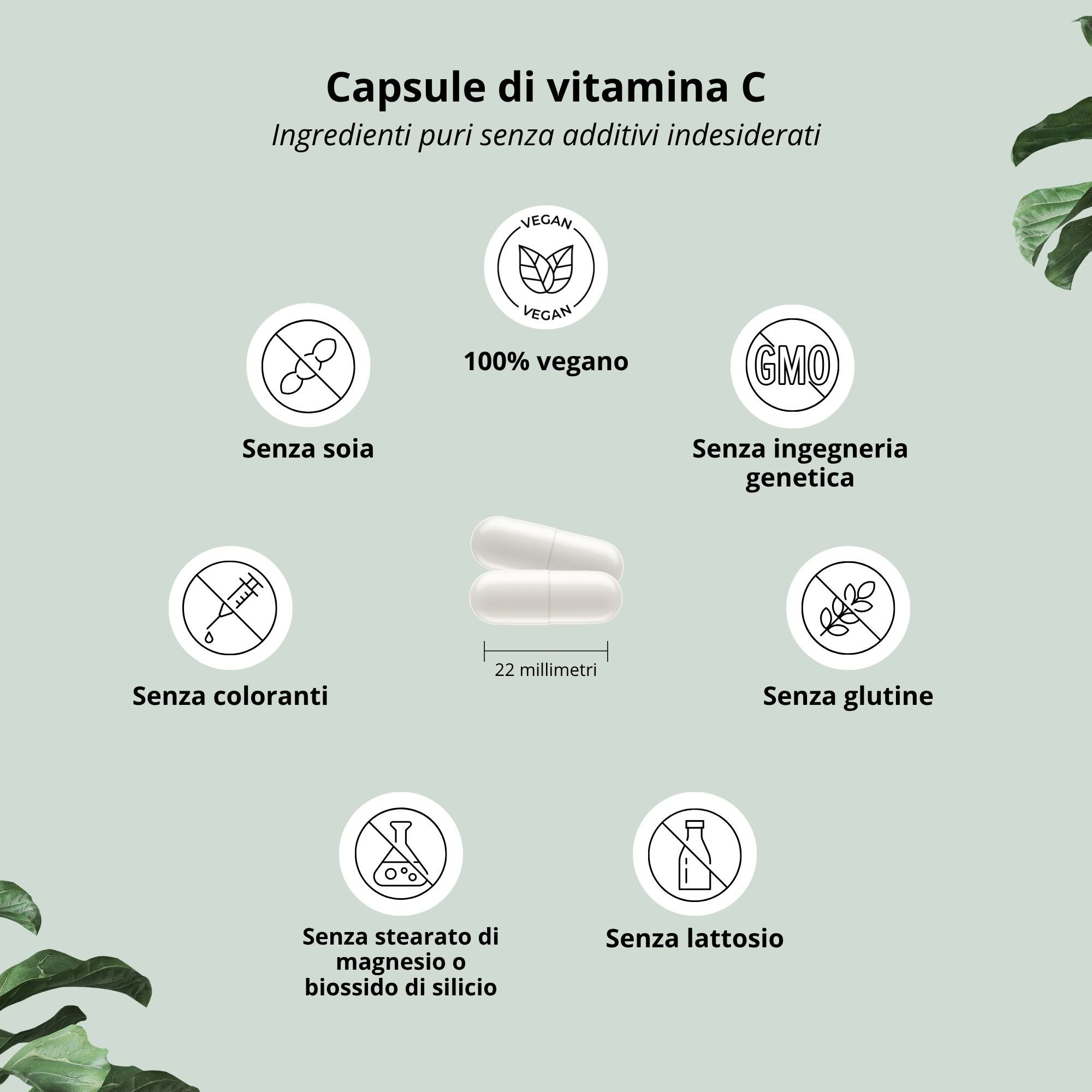 Due capsule bianche. Testo: Capsule di vitamina C. Ingredienti puri senza additivi indesiderati. Vegano, senza soia, senza OGM, senza coloranti, senza glutine, senza stearato di magnesio, senza lattosio.