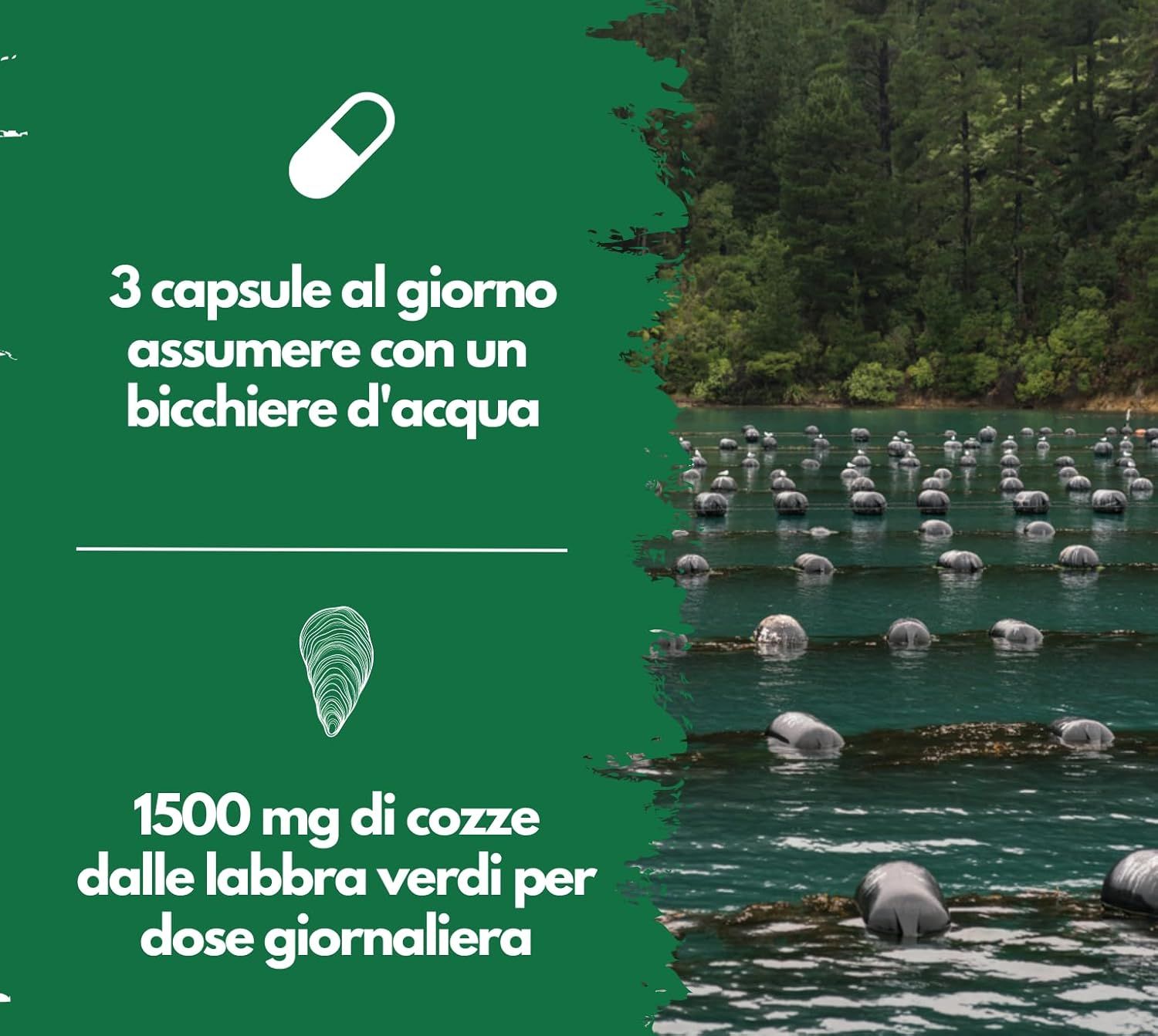 Testo con informazioni sul prodotto. 3 capsule al giorno. 1500 mg di cozze verdi per dose giornaliera. Sfondo verde.