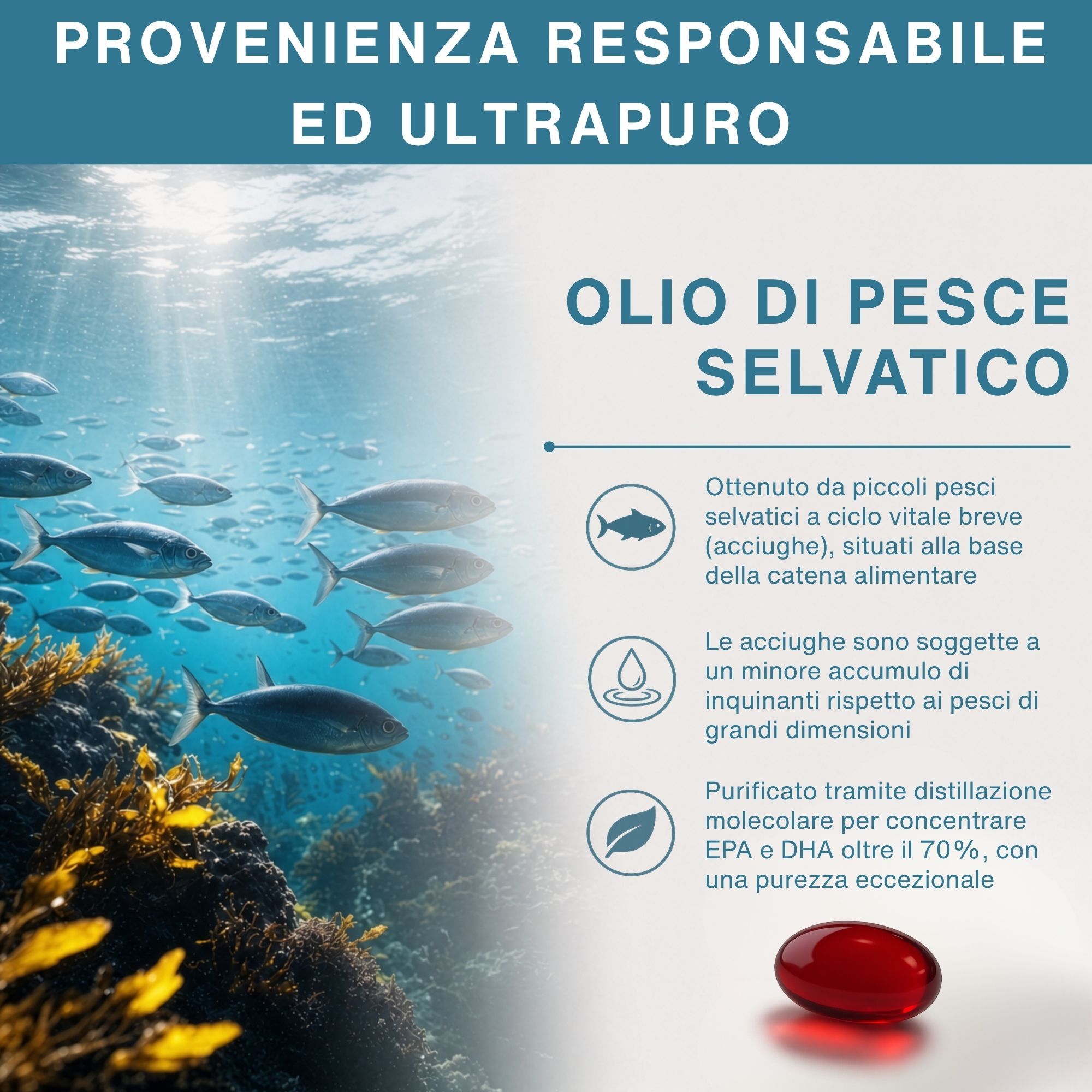 Capsula molle rossa di olio di pesce, circondata da pesci nel mare. Testo: "Olio di Pesce Selvatico".