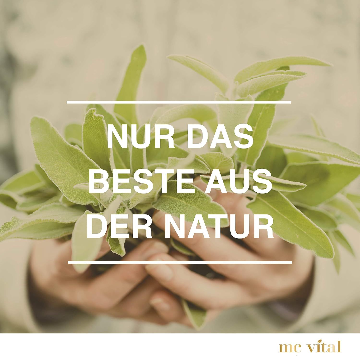 Mani che tengono foglie verdi. Testo: Solo il meglio dalla natura. Logo: me vital.