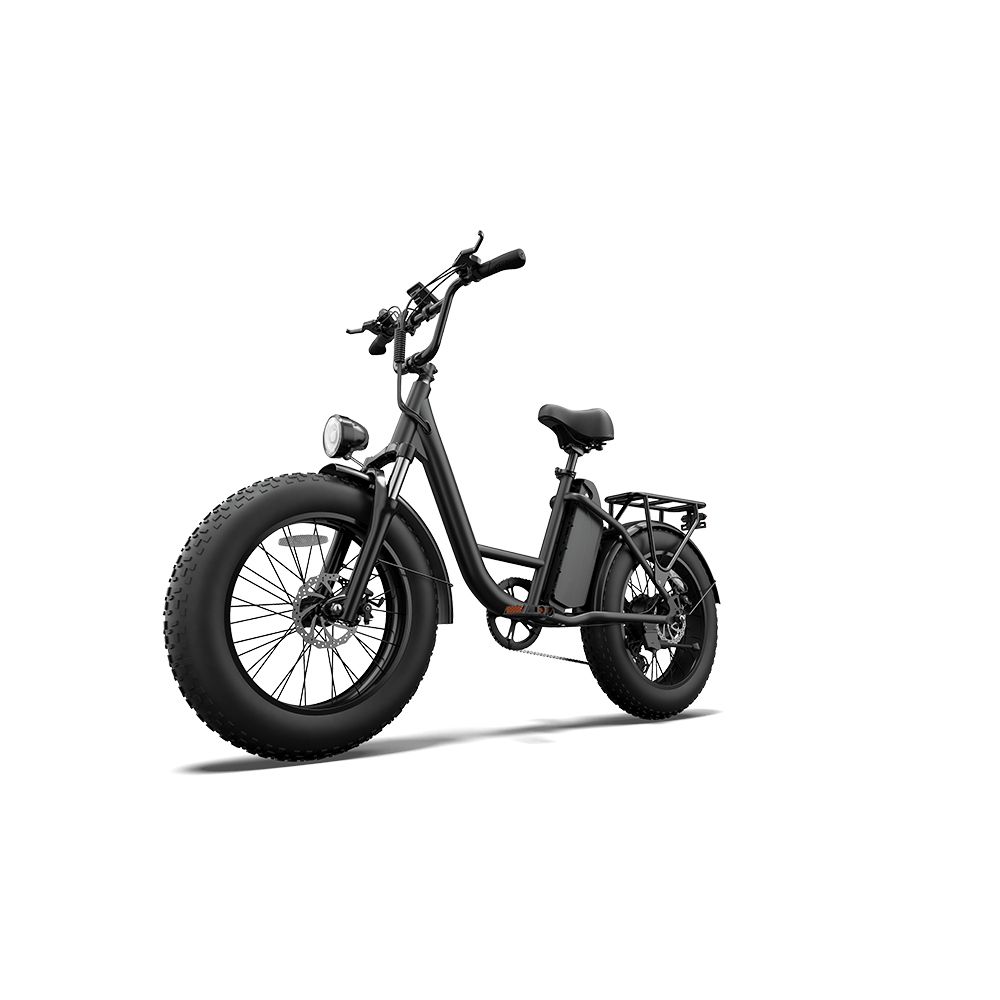 Bicicletta elettrica nera con pneumatici larghi, portapacchi e faro. Vista laterale, isolata su sfondo bianco.