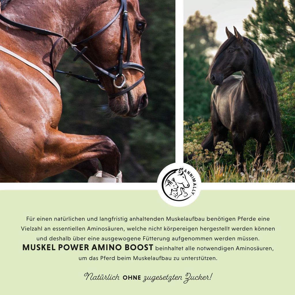 Immagine con testo: Muskel Power Amino Boost. Contiene aminoacidi. Senza zucchero. Logo Annimally. Cavallo sullo sfondo. Testo in tedesco.
