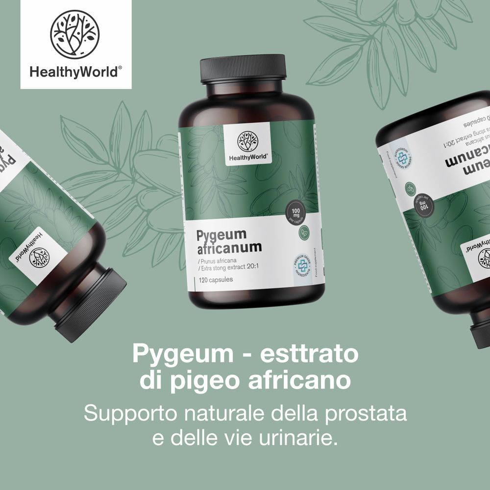 Flacone e capsule. Testo: Pygeum - estratto di pigeo africano, 120 capsule. Logo: HealthyWorld.