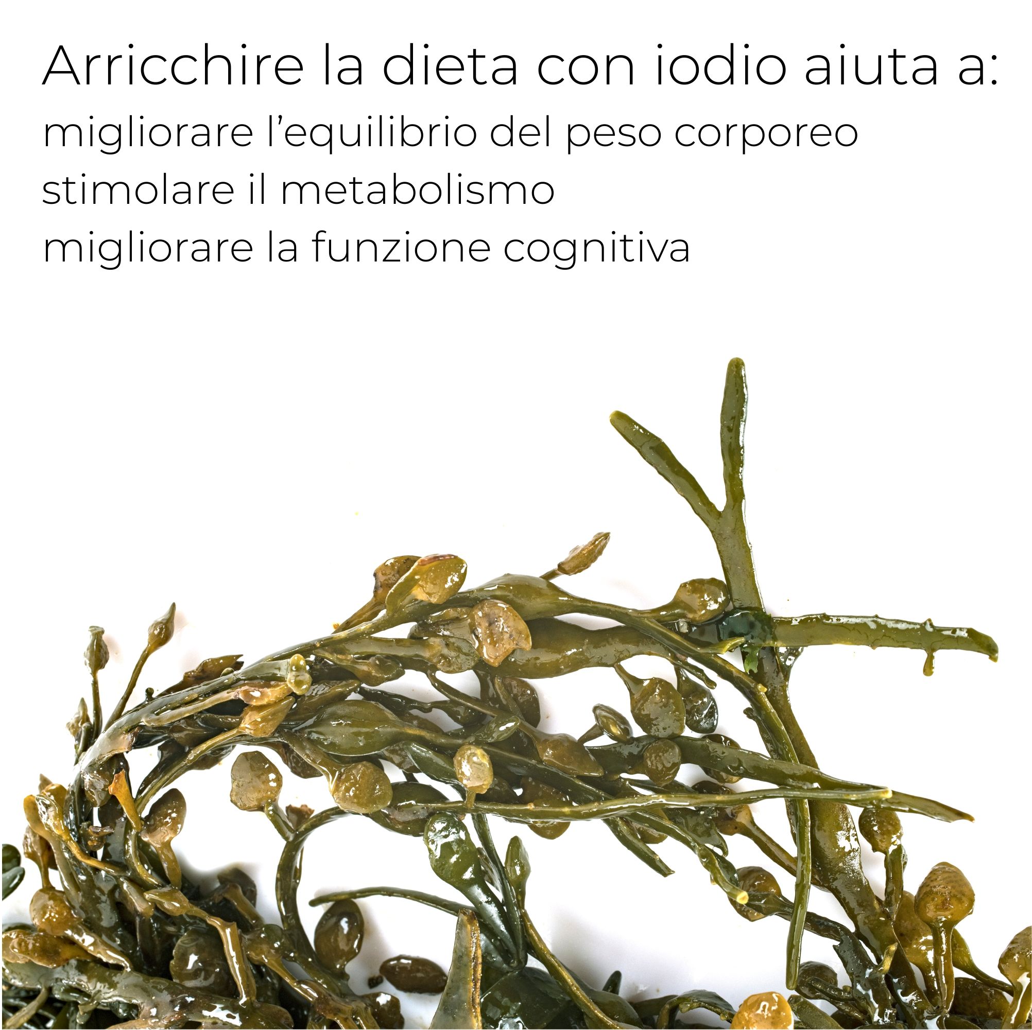Alghe brune. Testo: Lo iodio aiuta l'equilibrio del peso, il metabolismo e le funzioni cognitive.