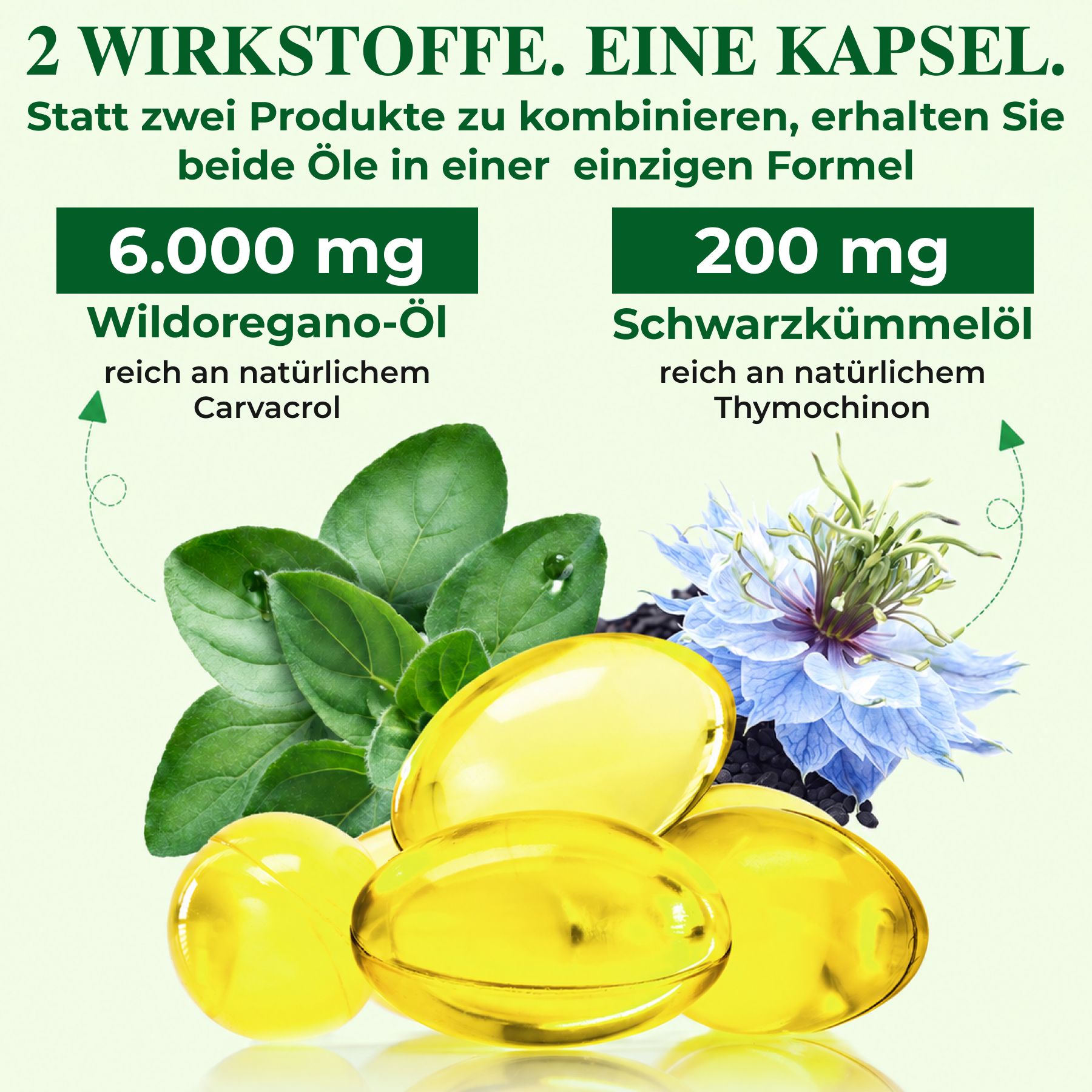P-beauty Olio di origano selvatico 6000 mg, olio di cumino nero, carvacrolo, timochinone