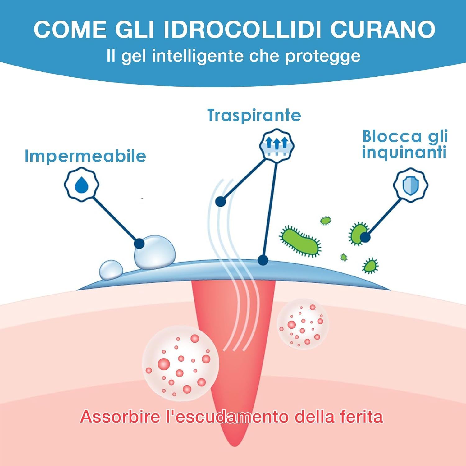 Illustrazione di un cerotto idrocolloidale che protegge una ferita. È impermeabile, traspirante e blocca gli agenti inquinanti.