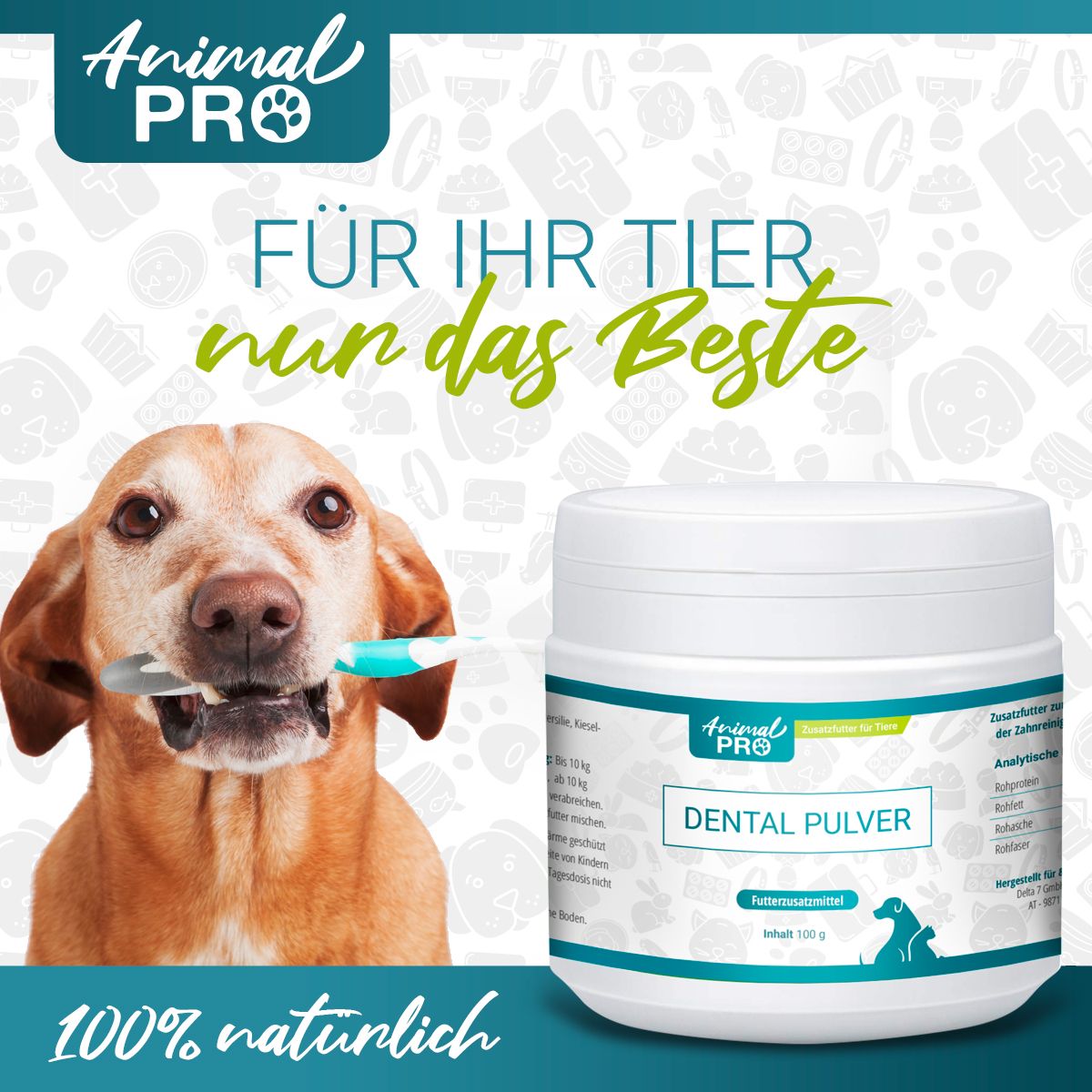 Cane con spazzolino in bocca, accanto al barattolo DENTAL PULVER. Testo: Solo il meglio per il tuo animale. 100% naturale.