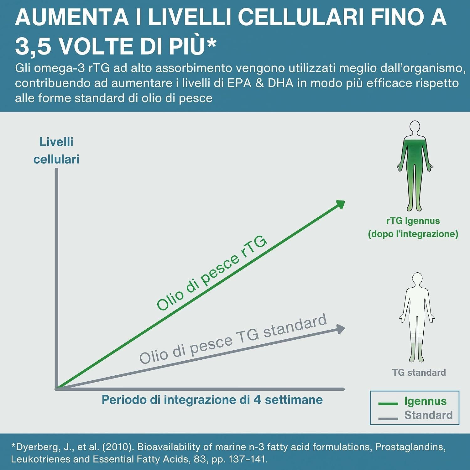 Grafico: L'olio di pesce rTG aumenta i livelli cellulari 3,5 volte di più rispetto all'olio standard.