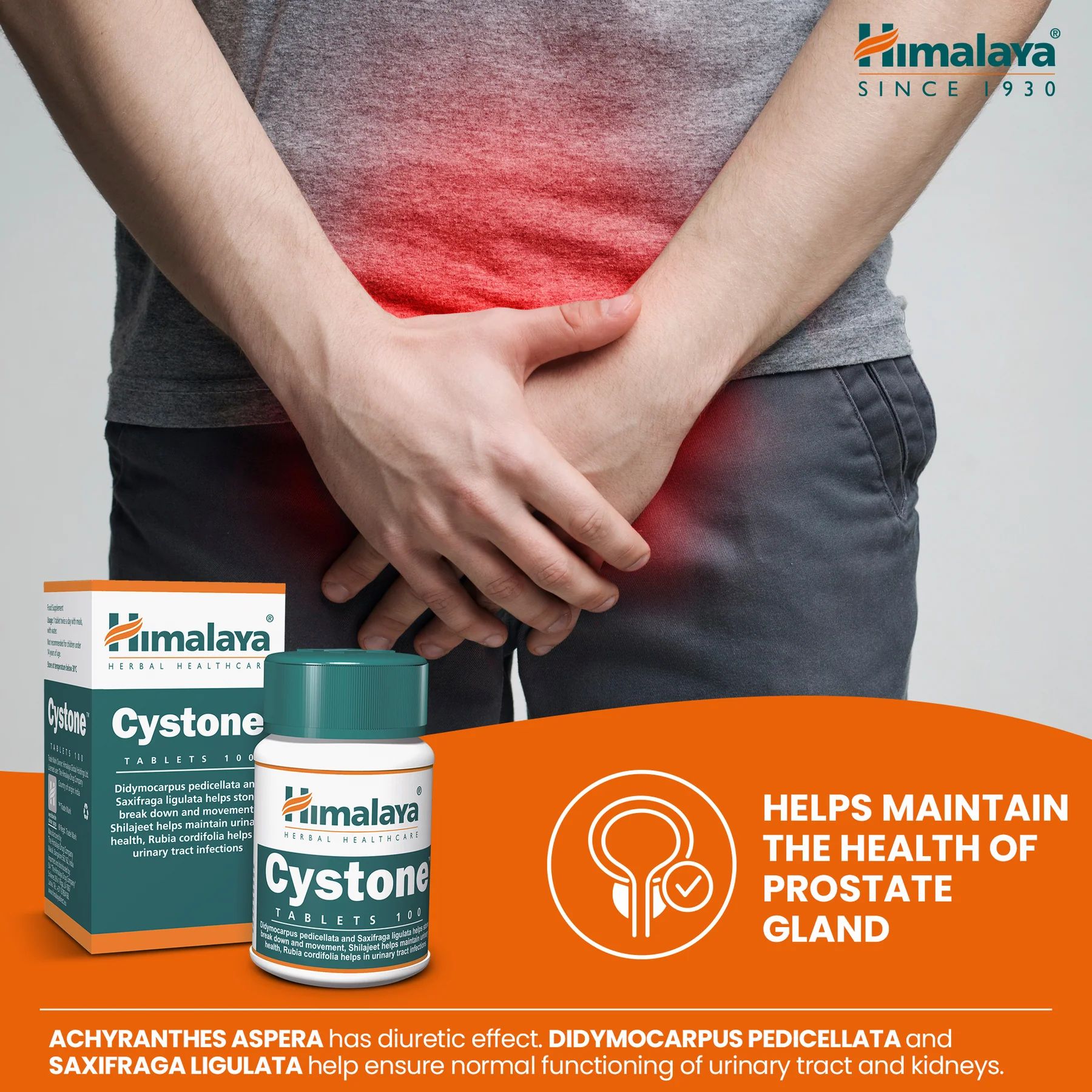 Himalaya Cystone compresse e una persona che si tiene i genitali. Testo: Aiuta a mantenere la salute della prostata.