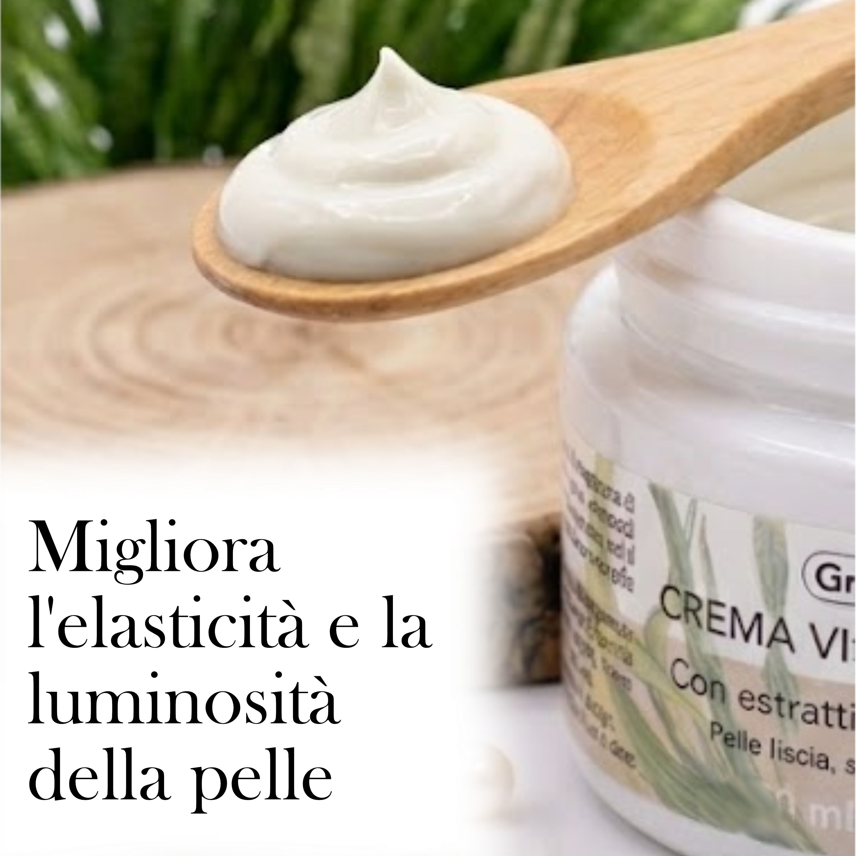 ALOHALABS Greenlift Crema Viso Anti-Age con Estratti di Spirulina – Trattamento Idratante e Nutrient