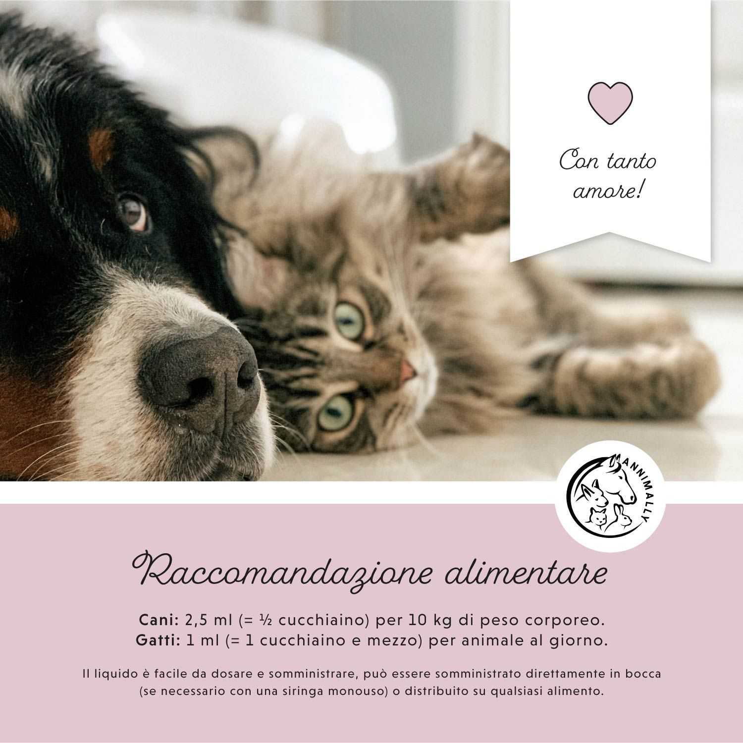 Cane e gatto sdraiati uno accanto all'altro. Testo: Raccomandazioni alimentari. Logo e cuore.