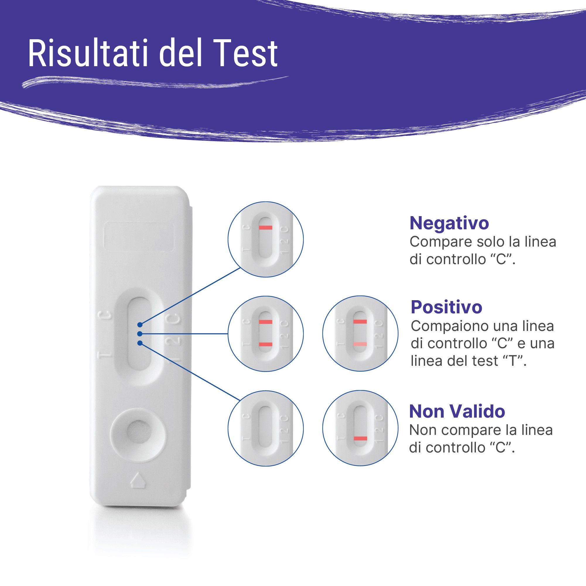 Test di Funzionalità Tiroidea Patris Health®