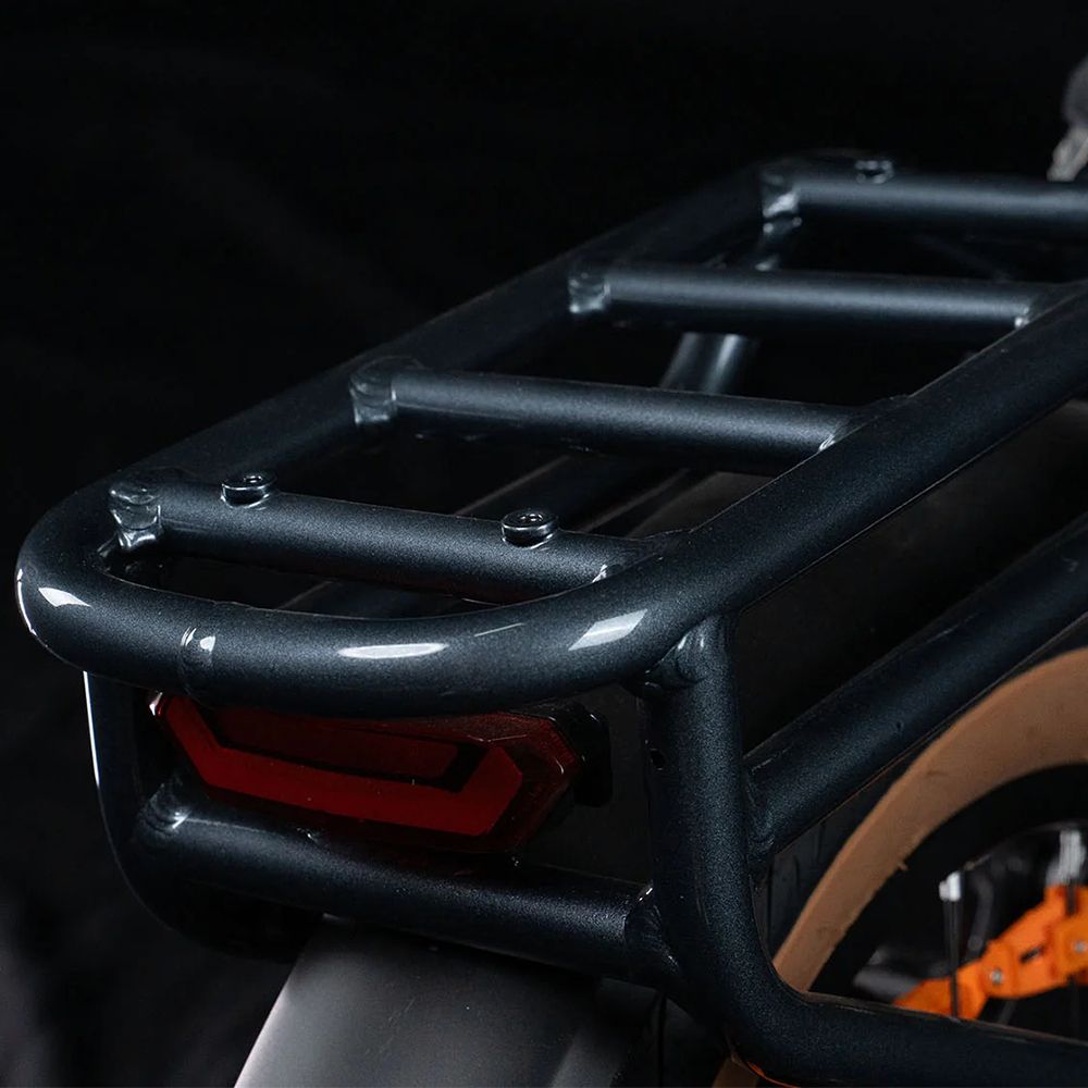 Portapacchi posteriore della e-bike. Fanale posteriore rosso e struttura del telaio visibili.