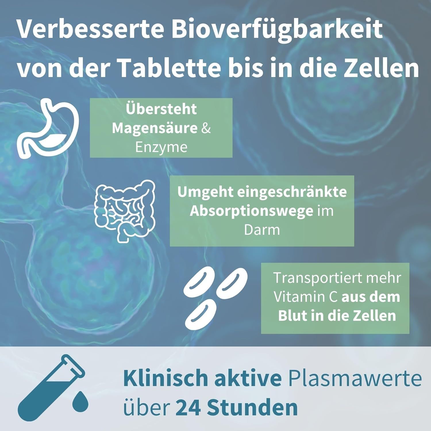 Rappresentazione grafica del corpo umano. Testo: Migliore biodisponibilità dalla compressa alle cellule.