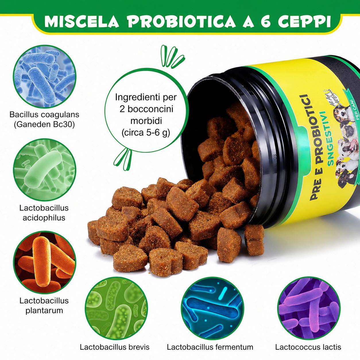 Contenitore di croccantini quadrati marroni. Scritta: Miscela Probiotica a 6 ceppi. Diverse specie di batteri illustrate.