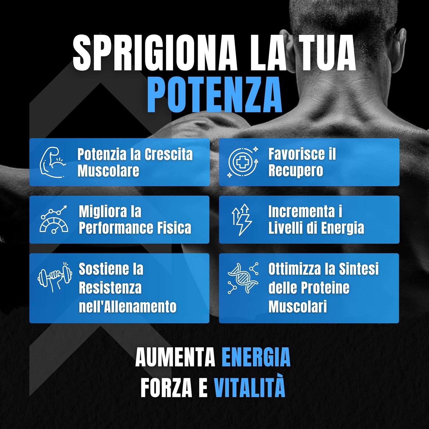 Grafica con riquadri blu e testo. Promuove la crescita muscolare, il recupero, le prestazioni, l'energia, la resistenza, la sintesi proteica.