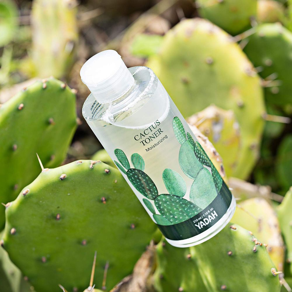 Flacone trasparente con scritta Cactus Toner, Moisturizing. Etichetta verde e bianca con illustrazione di cactus. Logo YADAH. Posizionato su foglie di cactus.