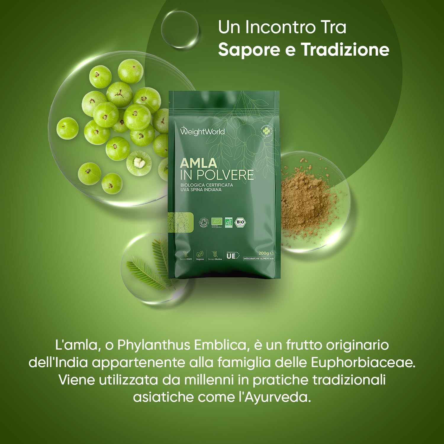 Confezione del prodotto. Busta di Amla in polvere. Marchio: WeightWorld. Testo: Un incontro tra sapori e tradizioni. Sfondo verde.