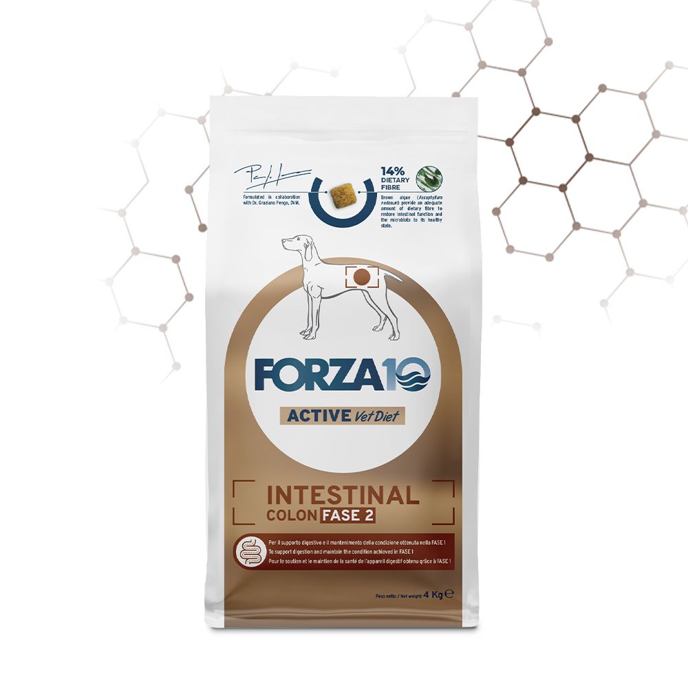 Forza 10 Intestinal Colon Fase II - Pesce adult allsize