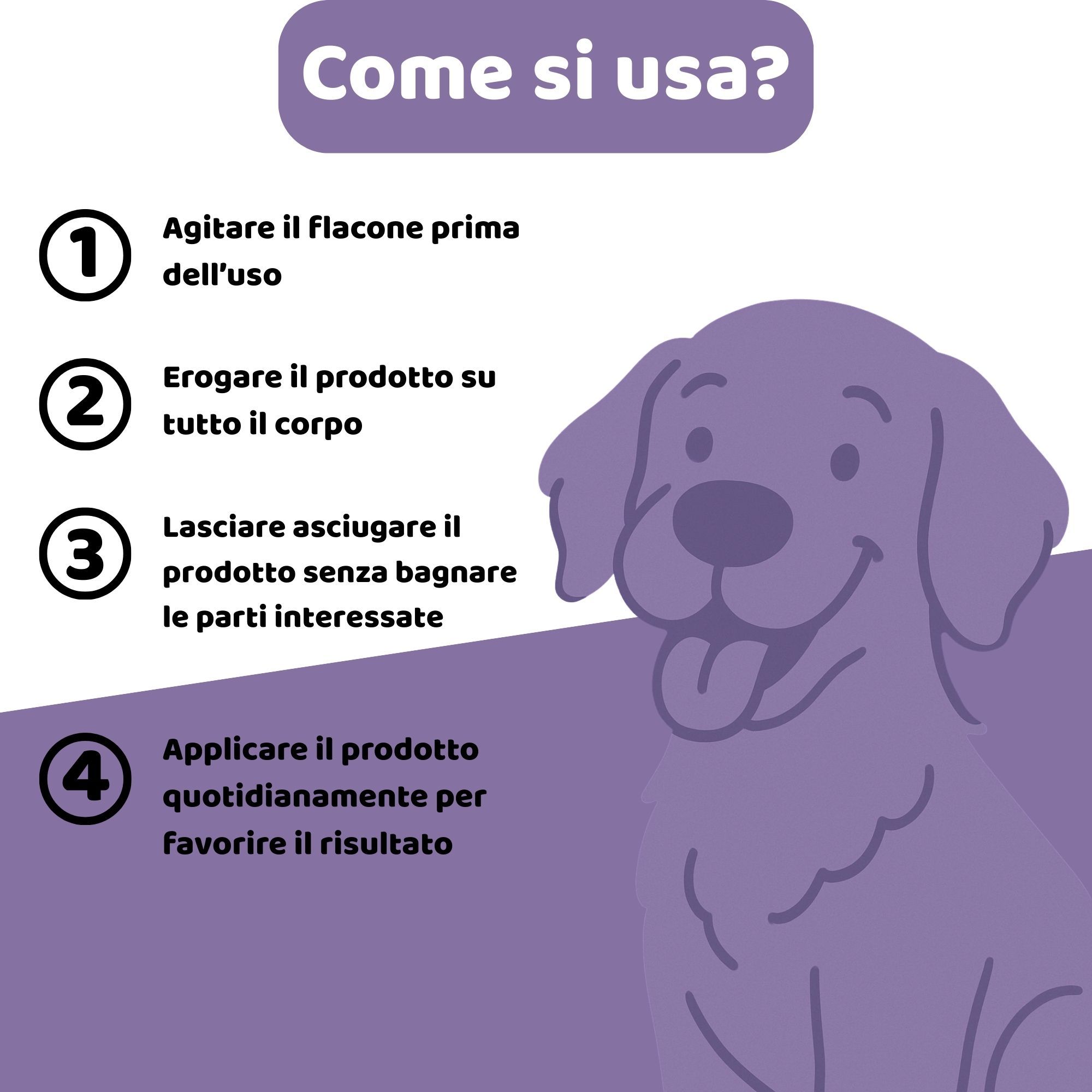 Illustrazione con istruzioni per l'uso. Passaggi: Agitare, spruzzare sul corpo, lasciare asciugare, applicare quotidianamente. Rappresentato un cane.
