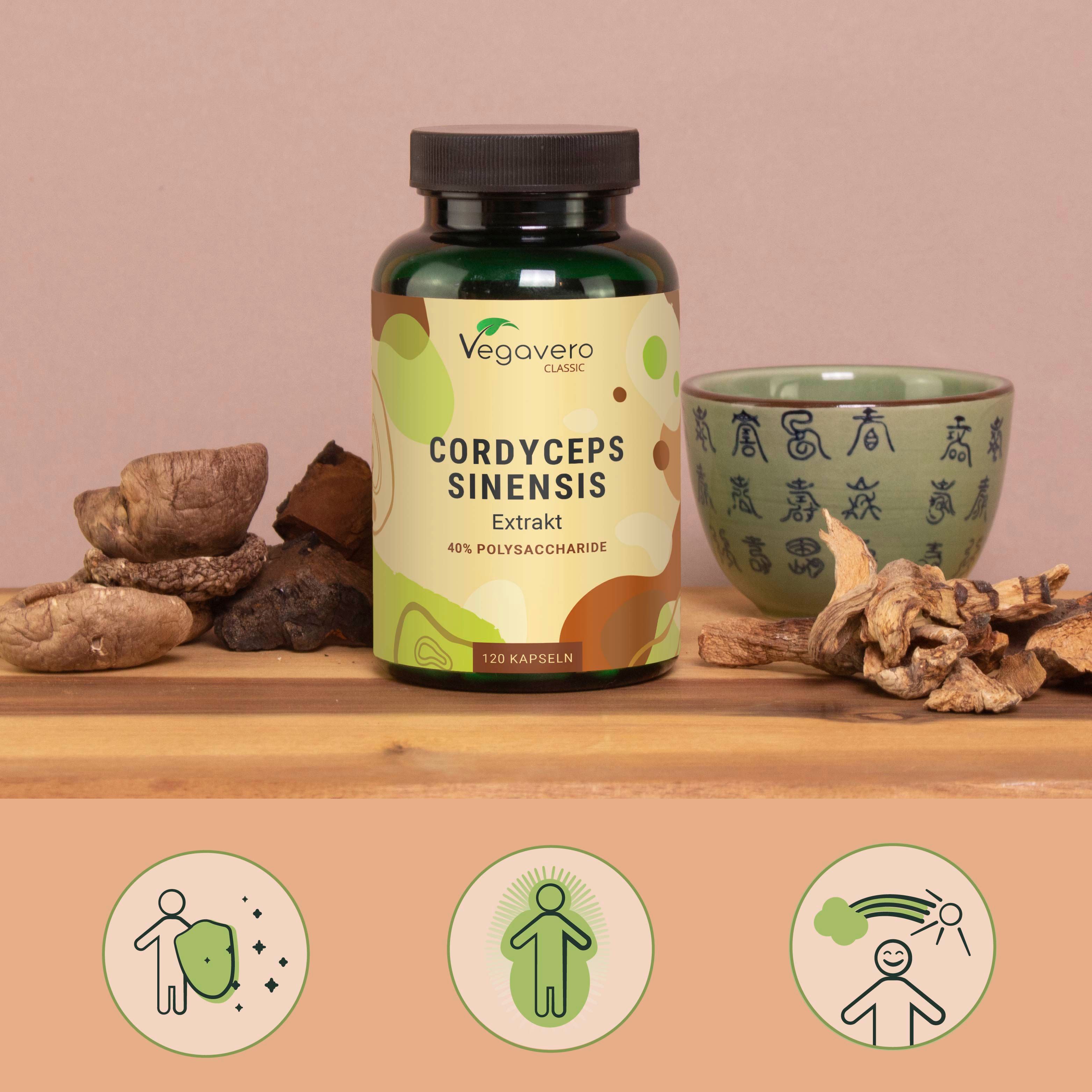 Bottiglia Cordyceps Sinensis Extrakt, 40% polisaccaridi, 120 capsule. Vegavaro Classic. Tavola legno, funghi e ciotola.