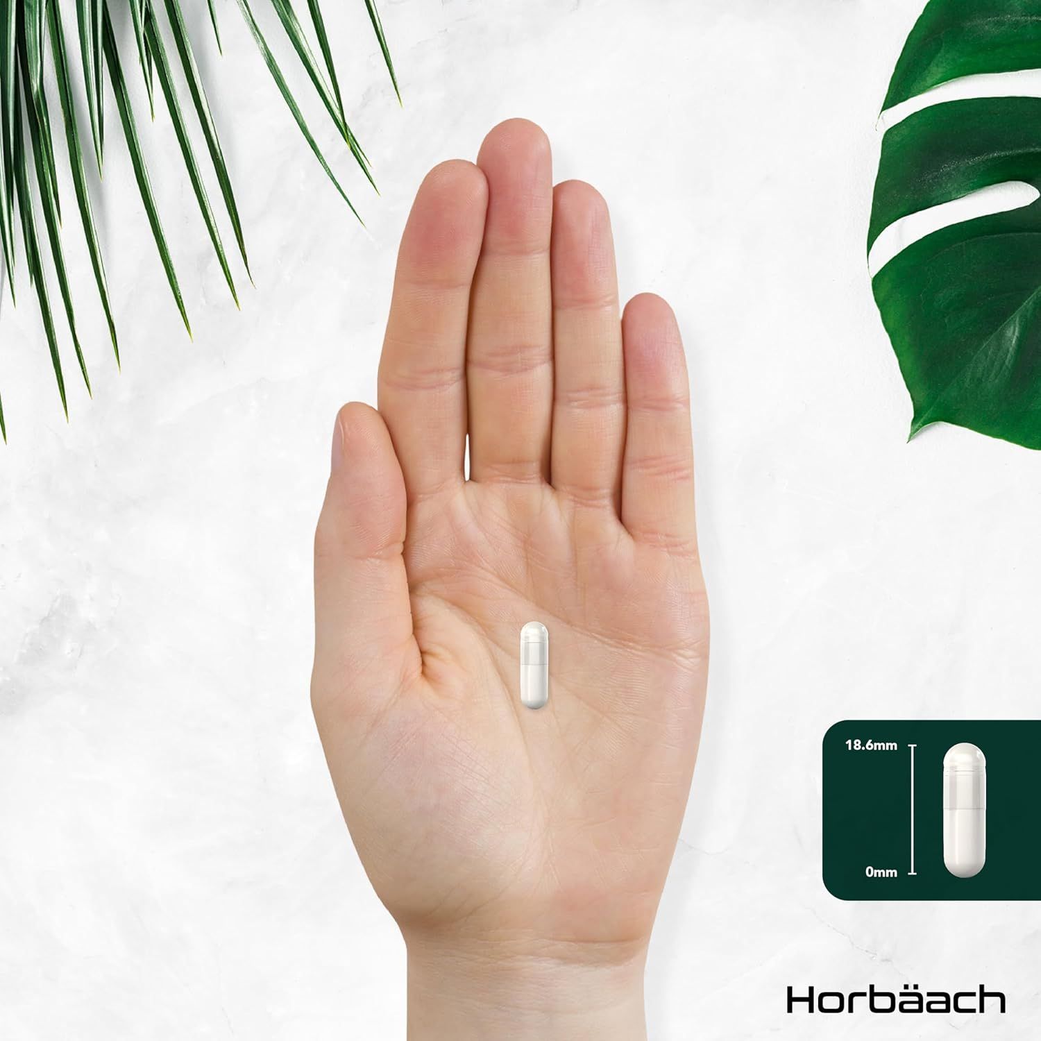 Una capsula bianca su un palmo. Dimensioni: 18,5 mm di lunghezza. Logo Horbaach.