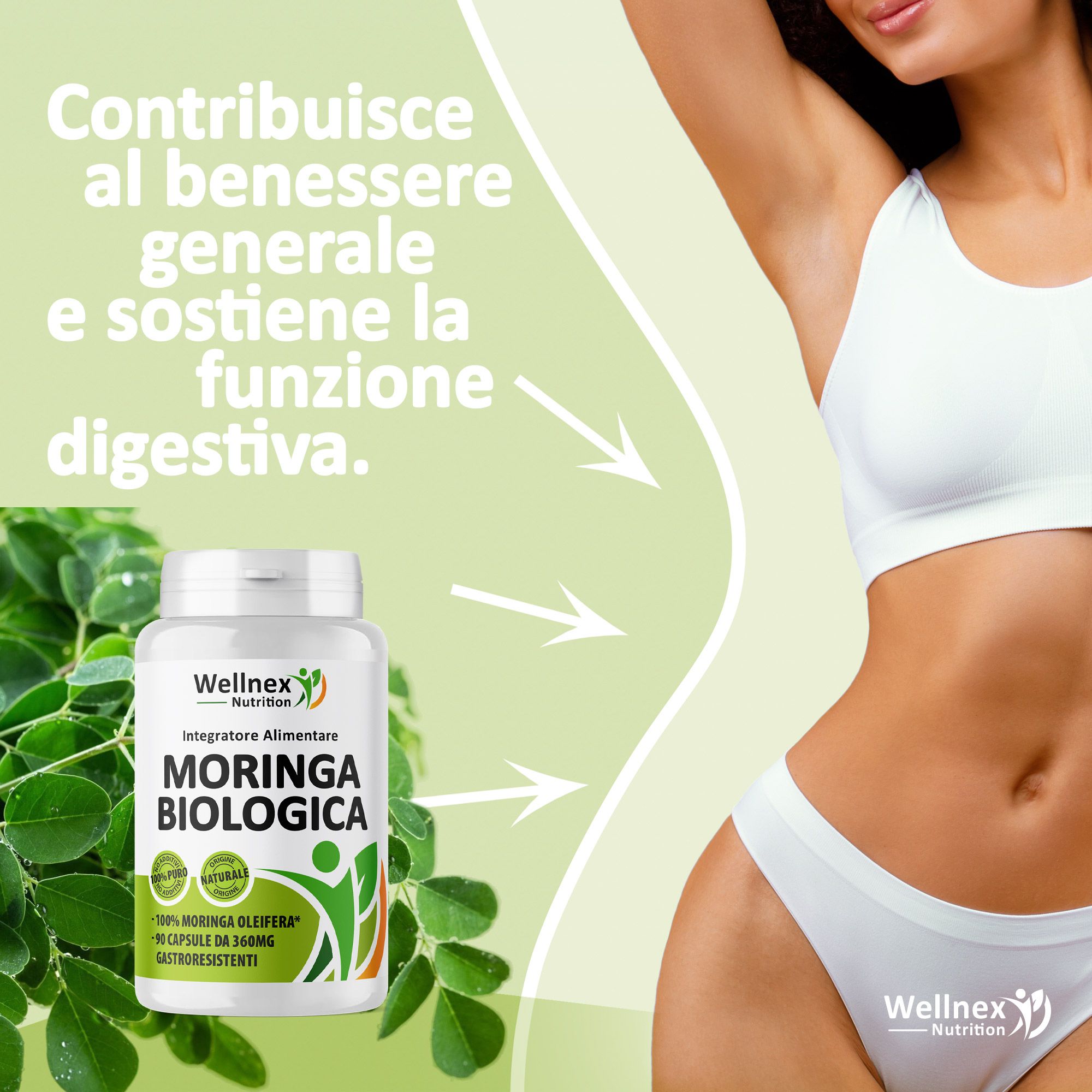 Wellnex Nutrition - Moringa Biologica in Capsule vegetali 90 Capsule Integratore Alimentare