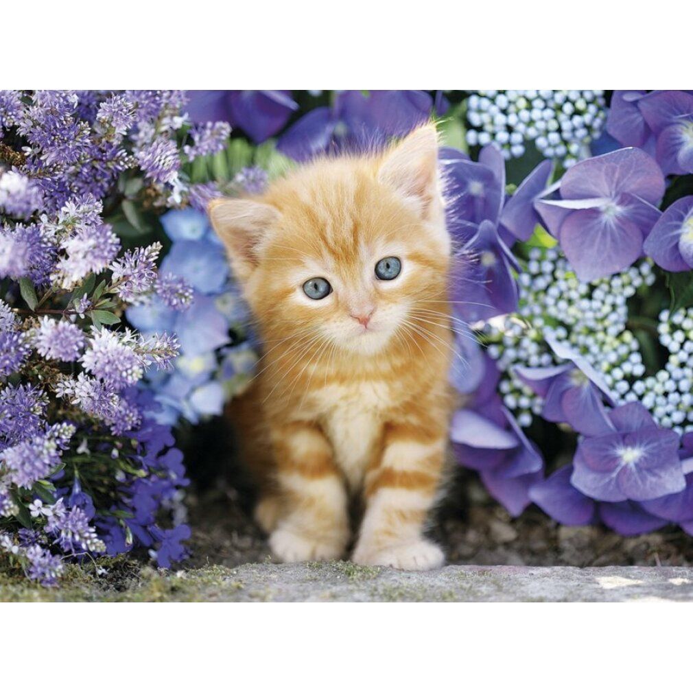 Clementoni 500Pcs Puzzle Gatto Zenzero In Fiori 30415*6