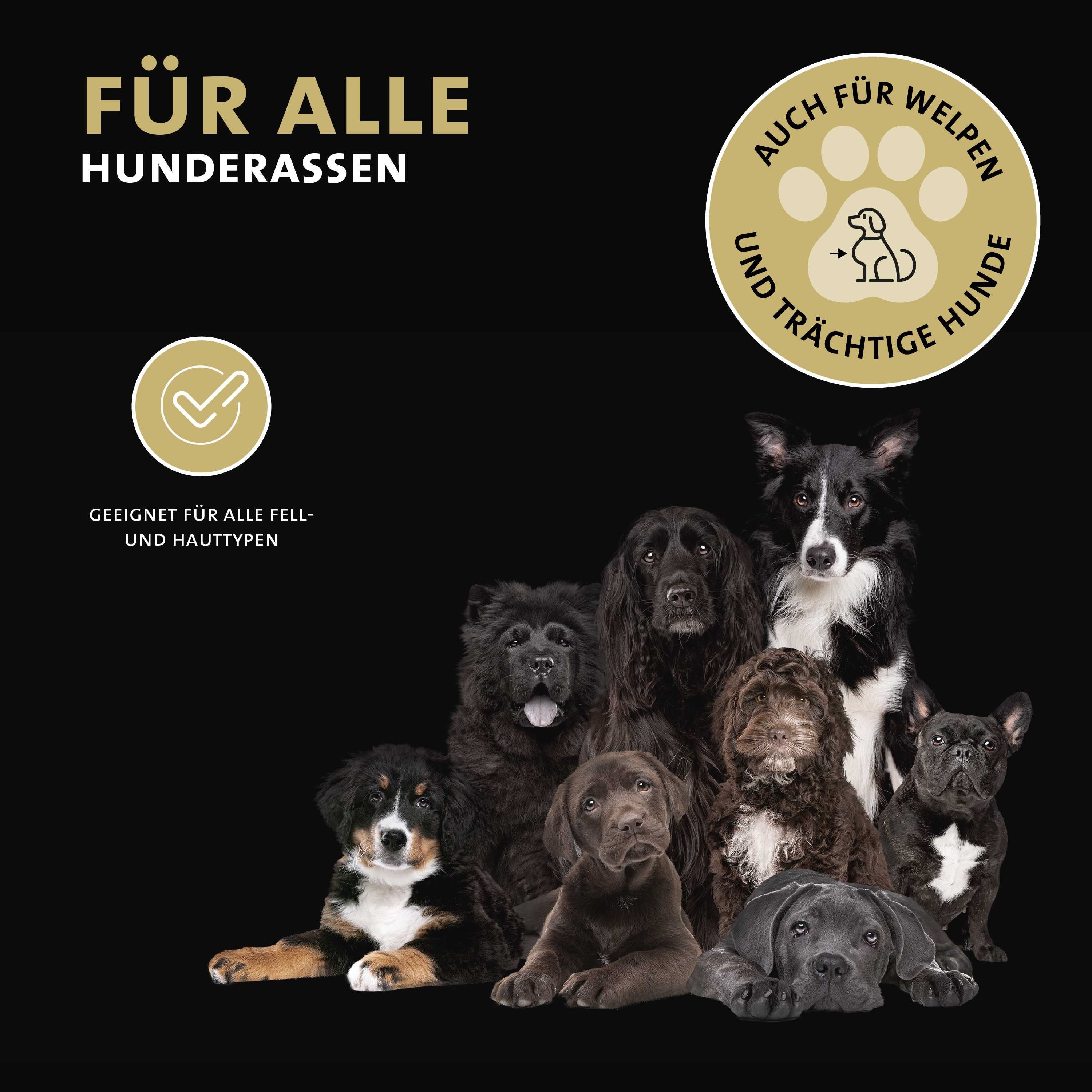 Foto di diverse razze di cani. Testo: Per tutte le razze di cani, anche per cuccioli e cagne gravide. Sfondo dorato.