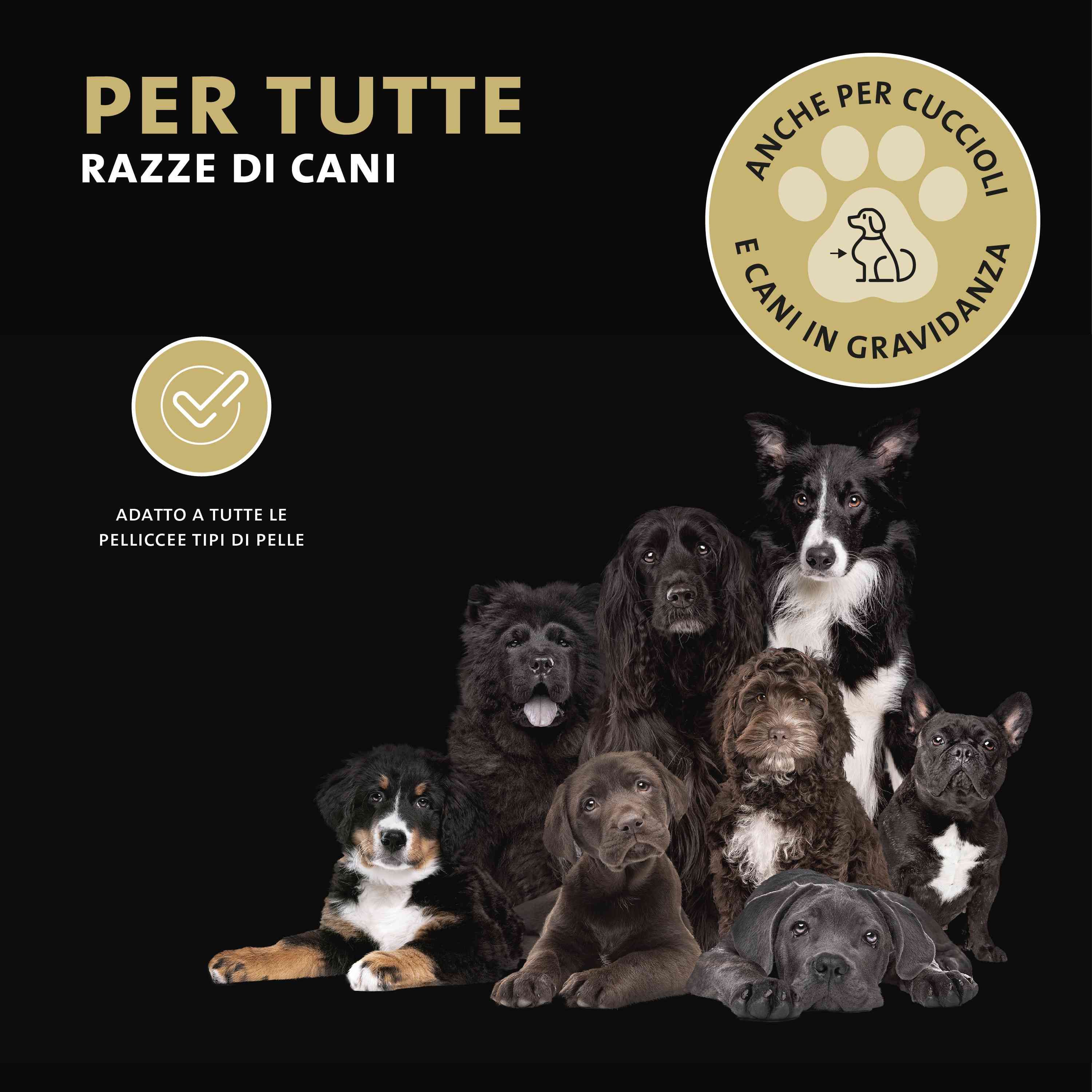 Vari cani. Testo: Per tutte le razze di cani. Anche per cuccioli e cani in gravidanza.