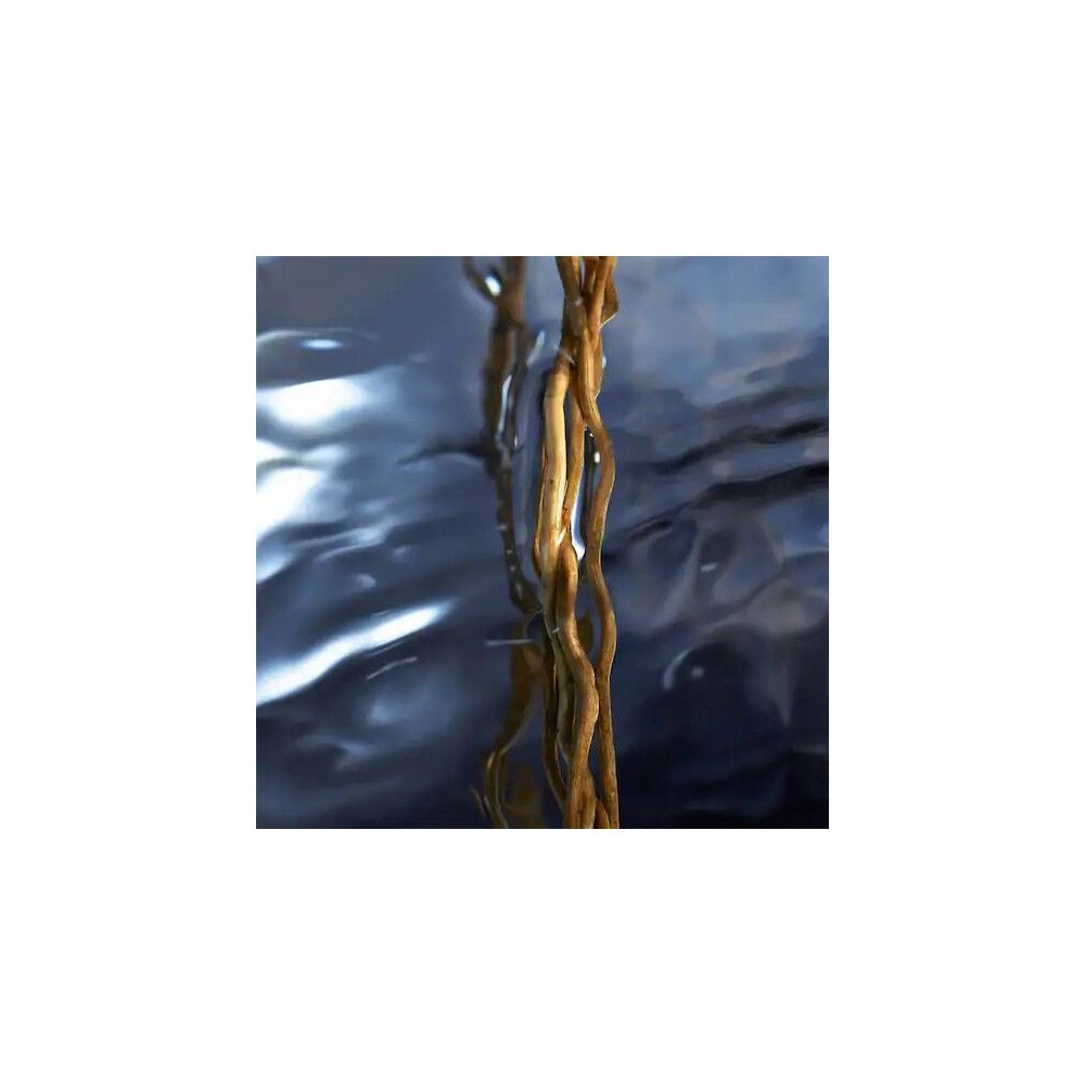 Radici marroni in acqua. Sfondo blu scuro.