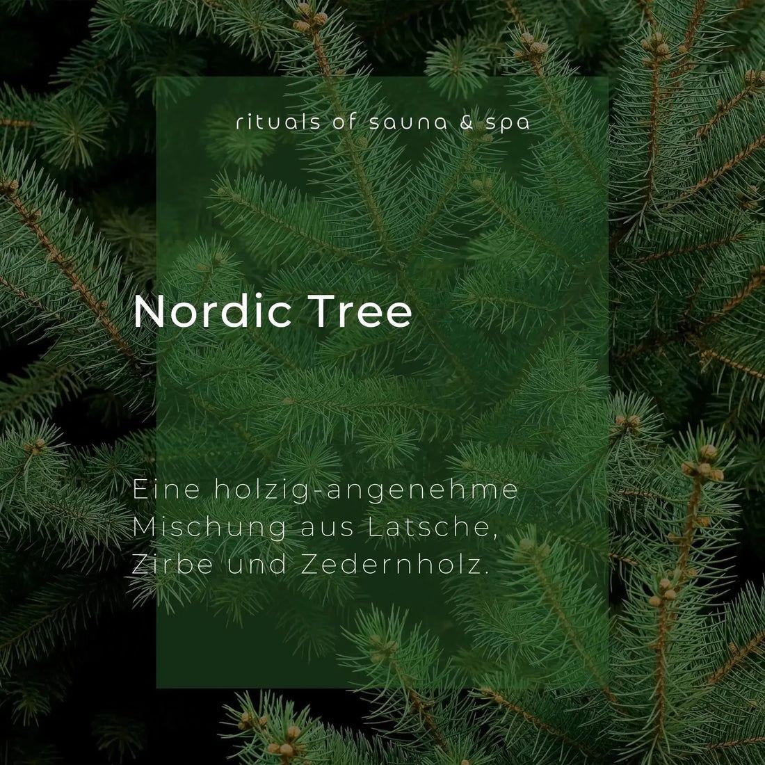 Sfondo verde con rami di abete. Testo: Nordic Tree, una miscela legnosa e piacevole di pino mugo, pino cembro e legno di cedro.