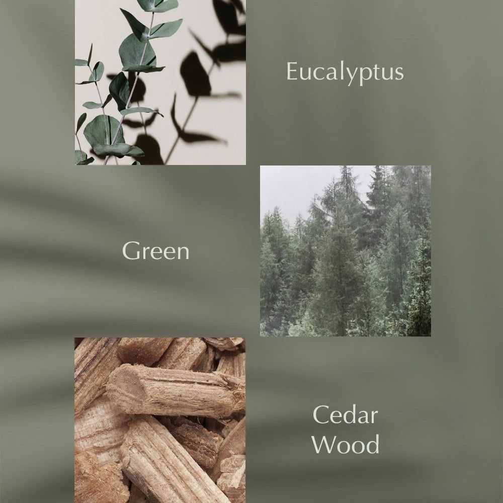 Elementi: foglie di eucalipto, alberi verdi, pezzi di legno. Testo: Green, Cedar Wood, Eucalyptus.