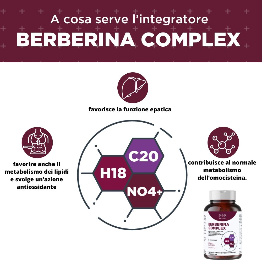 FB PHARMA - Berberina + Cardo Mariano +  Carciofo + Acido folico