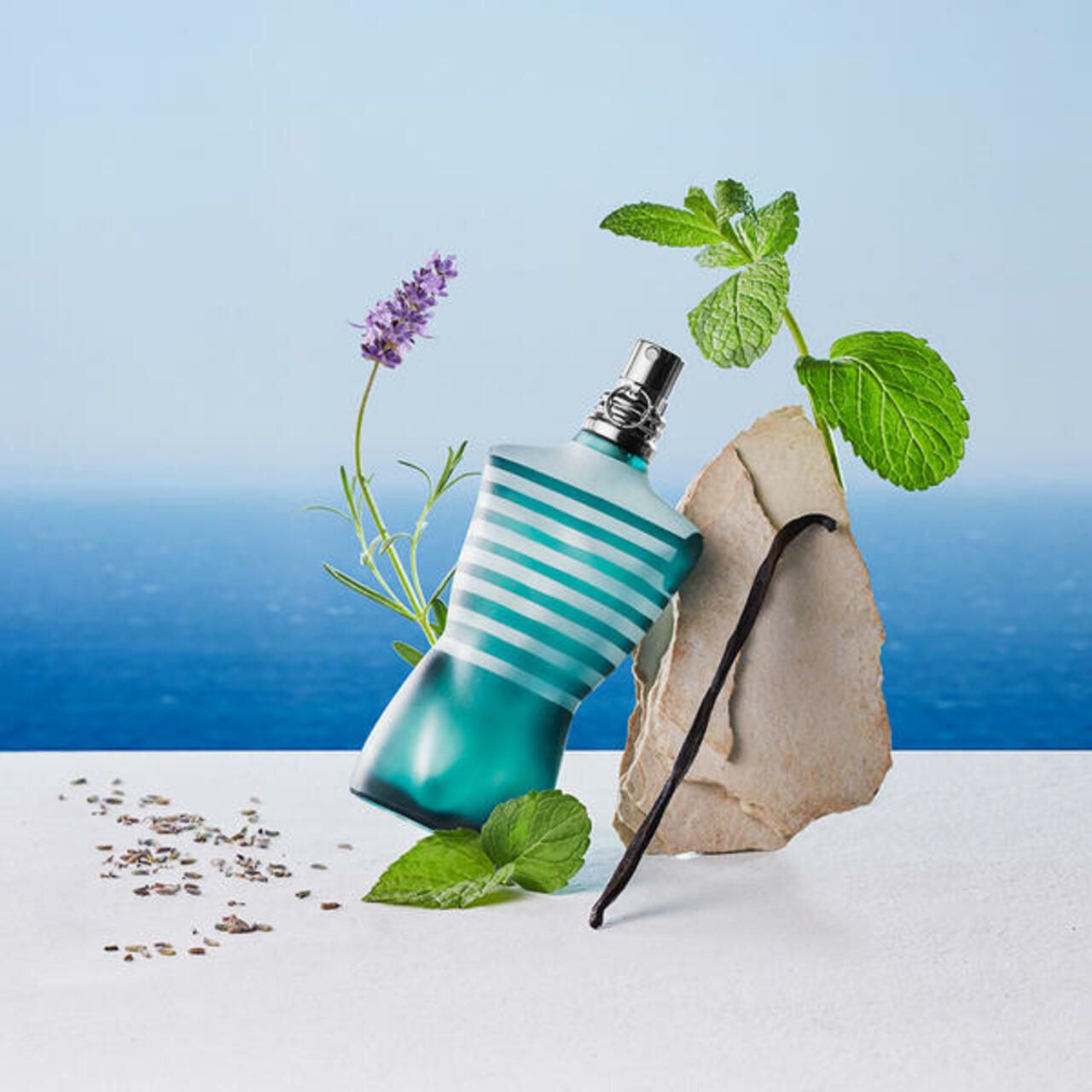 Flacone a strisce turchesi circondato da lavanda, menta, baccello di vaniglia e pietra. Su sfondo blu.
