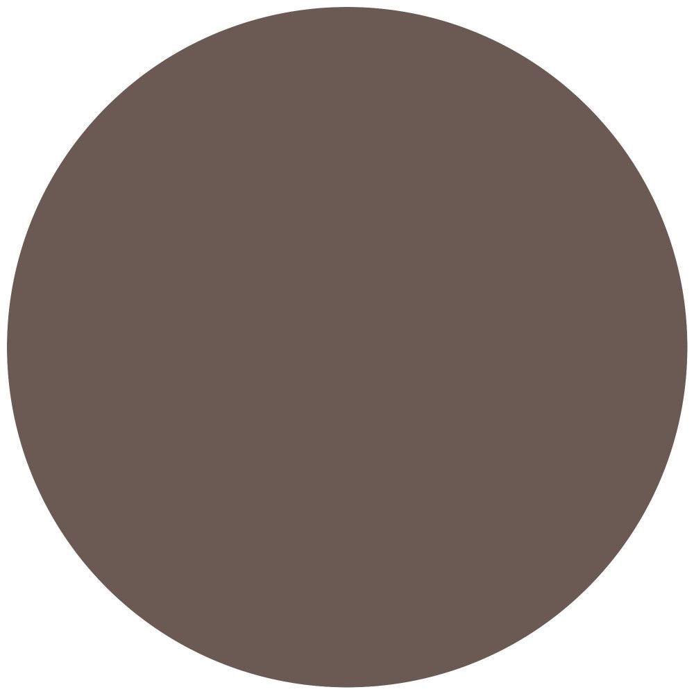 Cerchio di colore marrone. Nessun altro dettaglio.